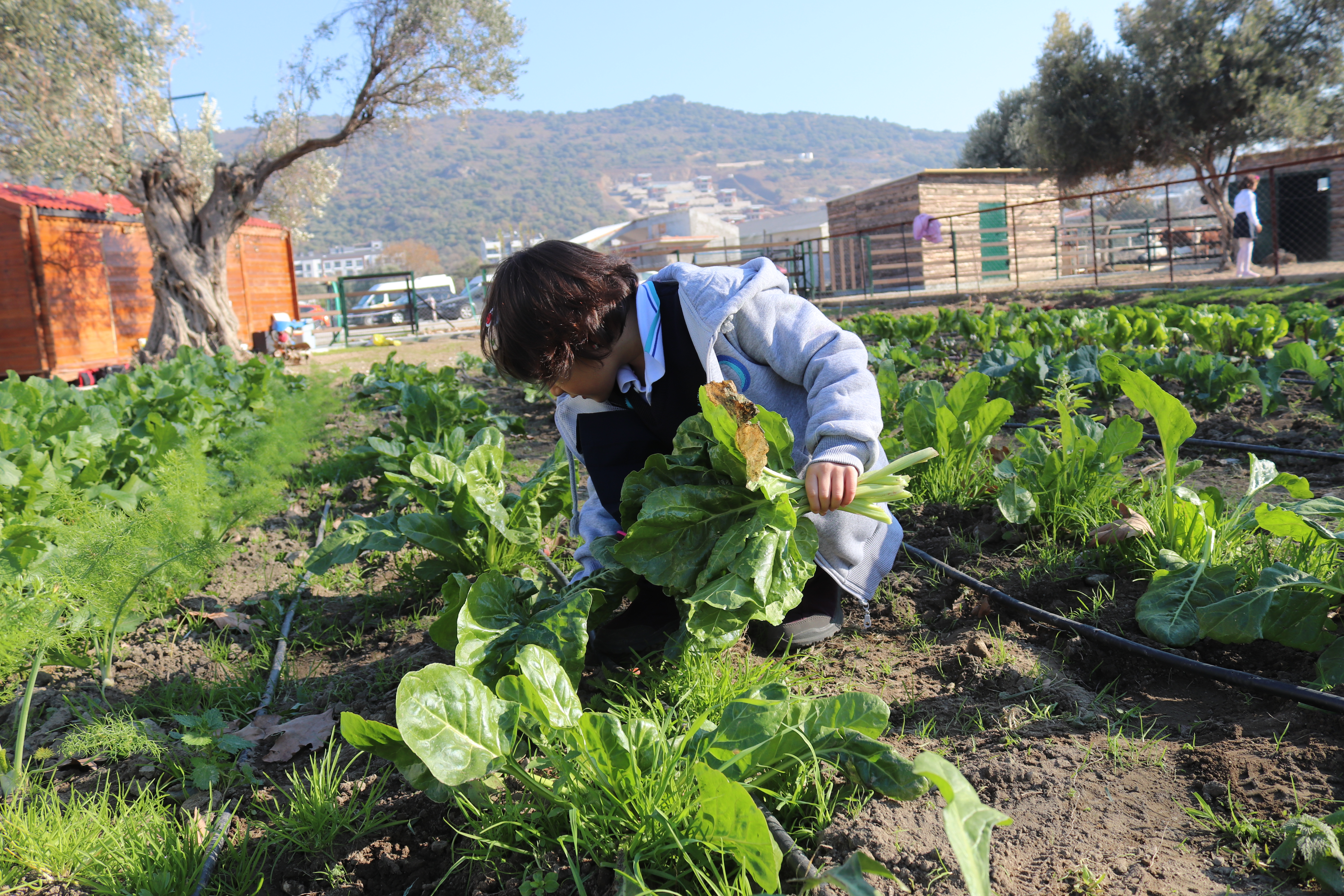 Spor ve sanat etkinlikleri