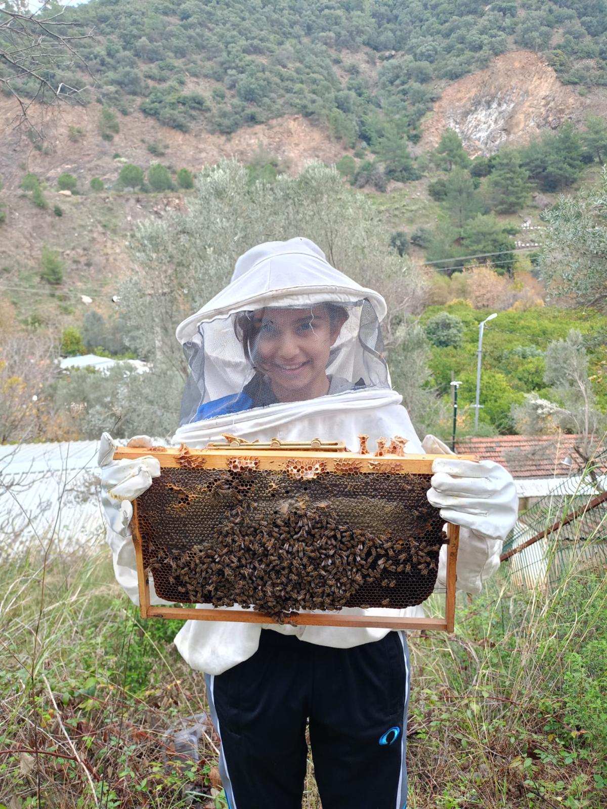 Arıcılık atölyesi deneyimi