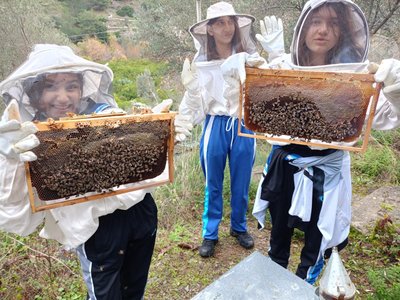 Arıcılık atölyesi