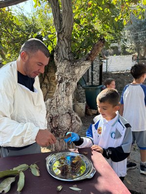 Arıcılık atölyesi