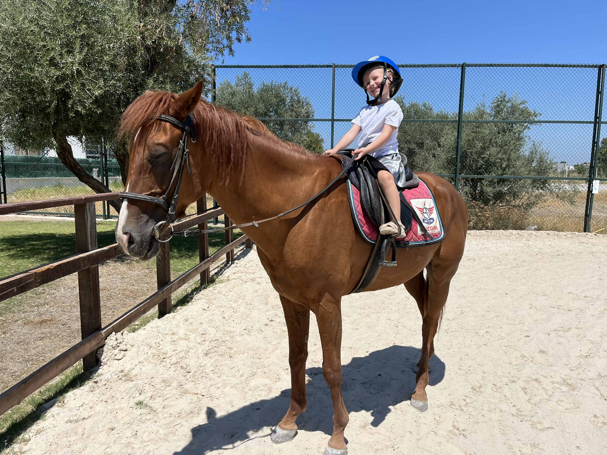 Binicilik atölyesi deneyimi